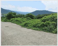  2025Ÿ��469  ���������