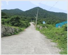  2025Ÿ��469  ���������