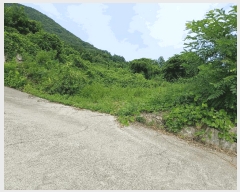  2025Ÿ��469  ���������