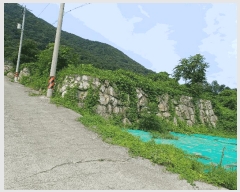  2025Ÿ��469  ���������