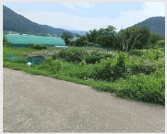  2025Ÿ��469  ���������