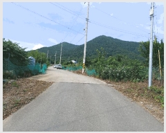  2025Ÿ��469  ���������