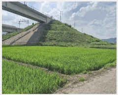  2025Ÿ��473 ��� ���ֽ� ��õ�� �� 1126-5      ����(��)���