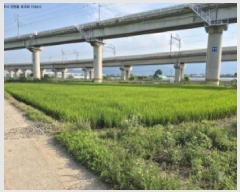  2025Ÿ��473 ��� ���ֽ� ��õ�� �� 1126-5      ����(��)���