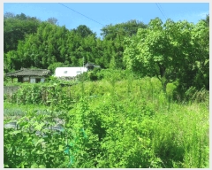  2025Ÿ��481 ��� ���ֽ� �糲�� ��踮 112      ����(����)���