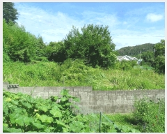  2025Ÿ��481 ��� ���ֽ� �糲�� ��踮 112      ����(����)���