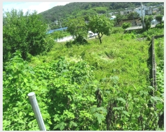  2025Ÿ��481 ��� ���ֽ� �糲�� ��踮 112      ����(����)���