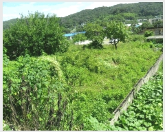  2025Ÿ��481 ��� ���ֽ� �糲�� ��踮 112      ����(����)���