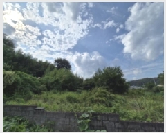  2025Ÿ��481 ��� ���ֽ� �糲�� ��踮 112      ����(����)���