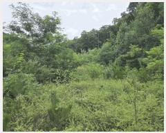  2025Ÿ��485 ��� ���ֽ� õ�ϸ� �Ŵ縮 ��99-1      ����(�Ӿ�)���