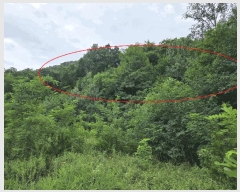  2025Ÿ��485 ��� ���ֽ� õ�ϸ� �Ŵ縮 ��99-1      ����(�Ӿ�)���