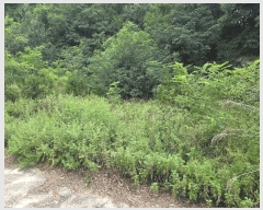  2025Ÿ��485 ��� ���ֽ� õ�ϸ� �Ŵ縮 ��99-1      ����(�Ӿ�)���