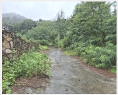  2025Ÿ��485 ��� ���ֽ� õ�ϸ� �Ŵ縮 ��99-1      ����(�Ӿ�)���