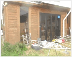  2025Ÿ��497  ���(ķ����)���