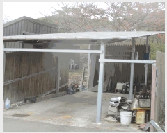  2025Ÿ��497  ���(ķ����)���