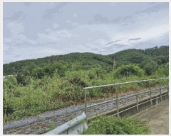  2025Ÿ��501 ��� ���ֽ� ������ �� 1004-1      ����(��1)���