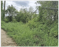  2025Ÿ��501 ��� ���ֽ� ������ �� 1004-1      ����(��1)���