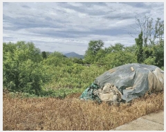  2025Ÿ��501 ��� ���ֽ� ������ �� 1004-1      ����(��1)���