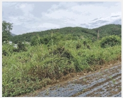  2025Ÿ��501 ��� ���ֽ� ������ �� 1004-1      ����(��1)���