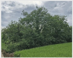  2025Ÿ��501 ��� ���ֽ� ������ �� 1004-1      ����(��1)���