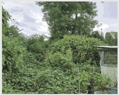  2025Ÿ��501 ��� ���ֽ� ������ �� 1004-1      ����(��1)���