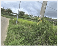  2025Ÿ��509 ��� ���ֽ� �ܵ��� �쵿�� 504-4      ����(��1)���