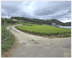  2025Ÿ��509 ��� ���ֽ� �ܵ��� �쵿�� 504-4      ����(��1)���