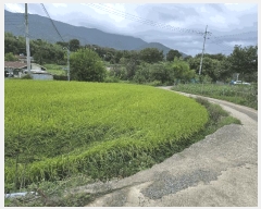  2025Ÿ��509 ��� ���ֽ� �ܵ��� �쵿�� 504-4      ����(��1)���