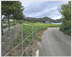  2025Ÿ��509 ��� ���ֽ� �ܵ��� �쵿�� 504-4      ����(��1)���