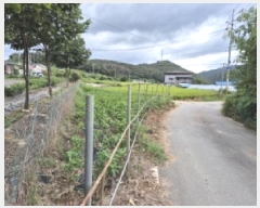  2025Ÿ��509 ��� ���ֽ� �ܵ��� �쵿�� 504-4      ����(��1)���