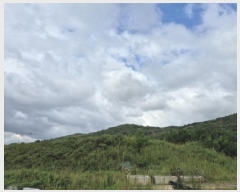  2025Ÿ��517  ����