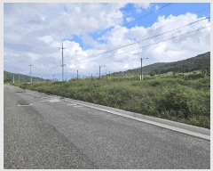  2025Ÿ��517  ����