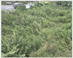  2025Ÿ��525  �����