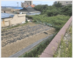  2025Ÿ��525  �����