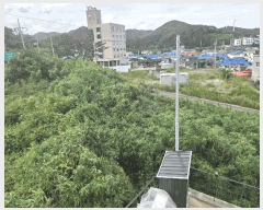  2025Ÿ��525  �����