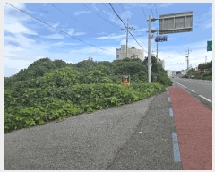  2025Ÿ��525  �����