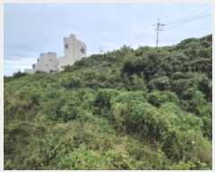  2025Ÿ��525  �����