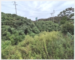  2025Ÿ��525  �����