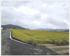  2025Ÿ��537  ����