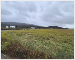  2025Ÿ��537  ����