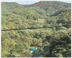  2025Ÿ��553  �Ӿ߰��