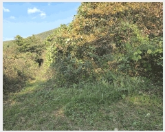  2025Ÿ��553  �Ӿ߰��