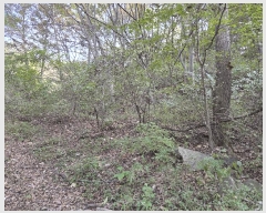  2025Ÿ��553  �Ӿ߰��