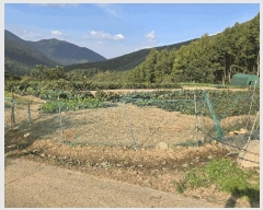  2025Ÿ��553  �Ӿ߰��