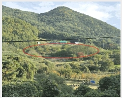  2025Ÿ��553  �Ӿ߰��