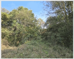  2025Ÿ��553  �Ӿ߰��