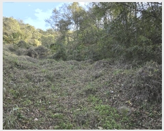  2025Ÿ��553  �Ӿ߰��