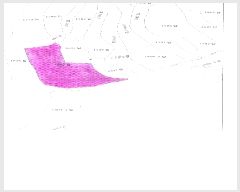  2025Ÿ��573  ����