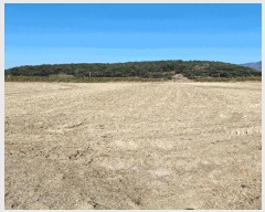  2025Ÿ��10378  ����