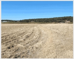  2025Ÿ��10378  ����